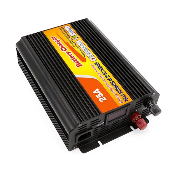 Queenswing Portable 25A Battery Charger 24V 110V AC Battery Charger (QW-25A)