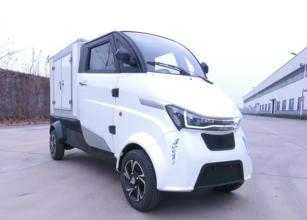 Electric Cargo Transportation Vehicles for Parcel/Food/Goods