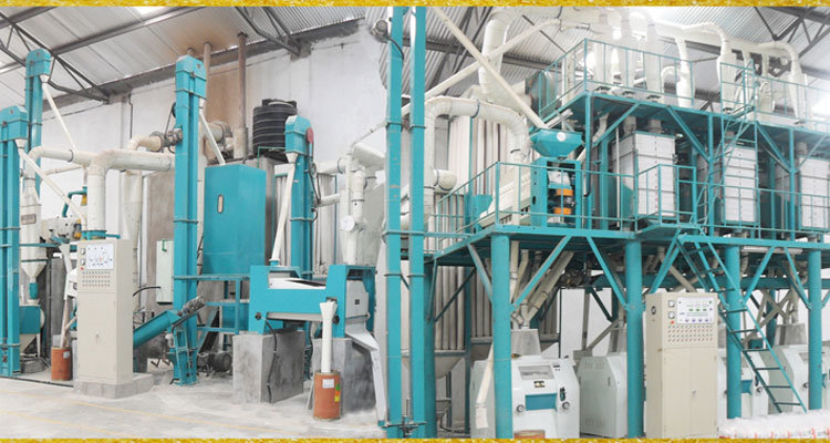 Zambia Branch Office Supply Complete Line 50t/24h Maize Milling Machine