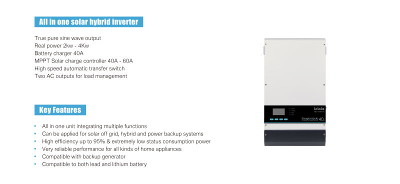 Pure Sine Hybrid Solar Power Inverter Built-in MPPT 80/90/100A