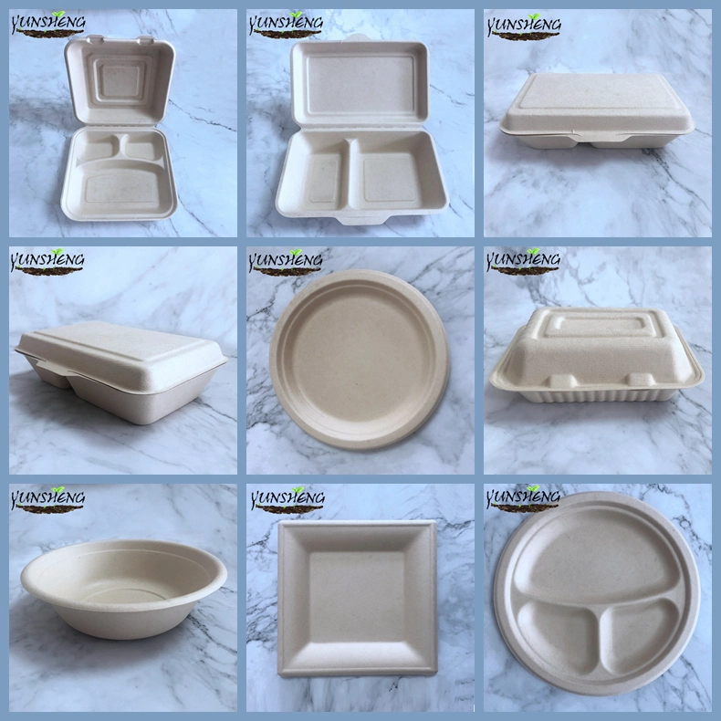 Wholesale Printing Light Brown Paper Box Paper Food Trays with Lids for Chips or Other Food