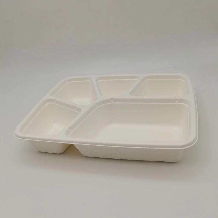 Disposable 5 Compartment Tray Bagasse Sugarcane Tableware Tray with Lid