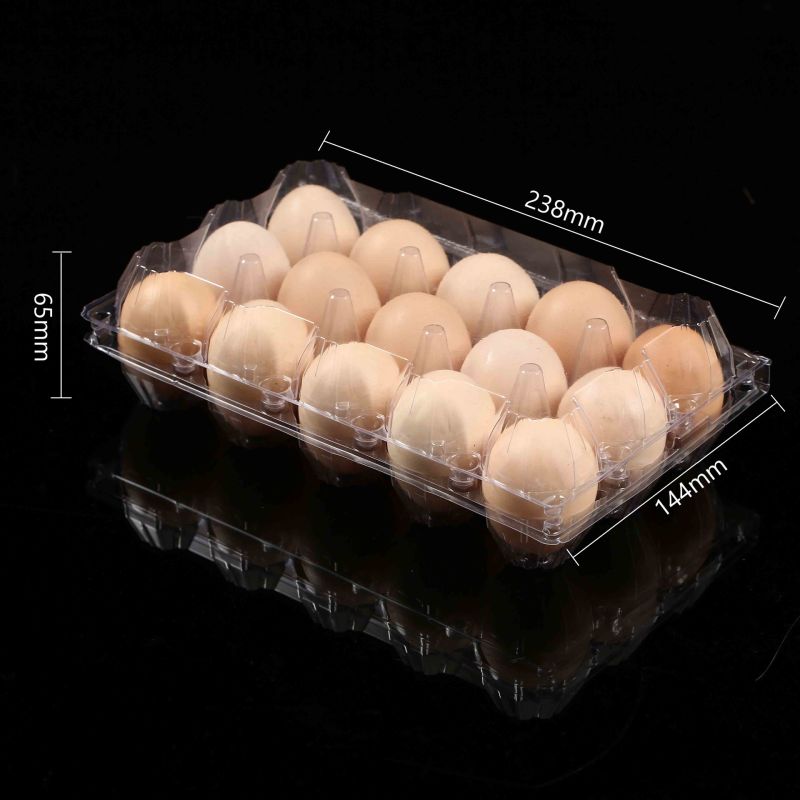 15 Holes Plastic Blister Egg Incubator for Sale