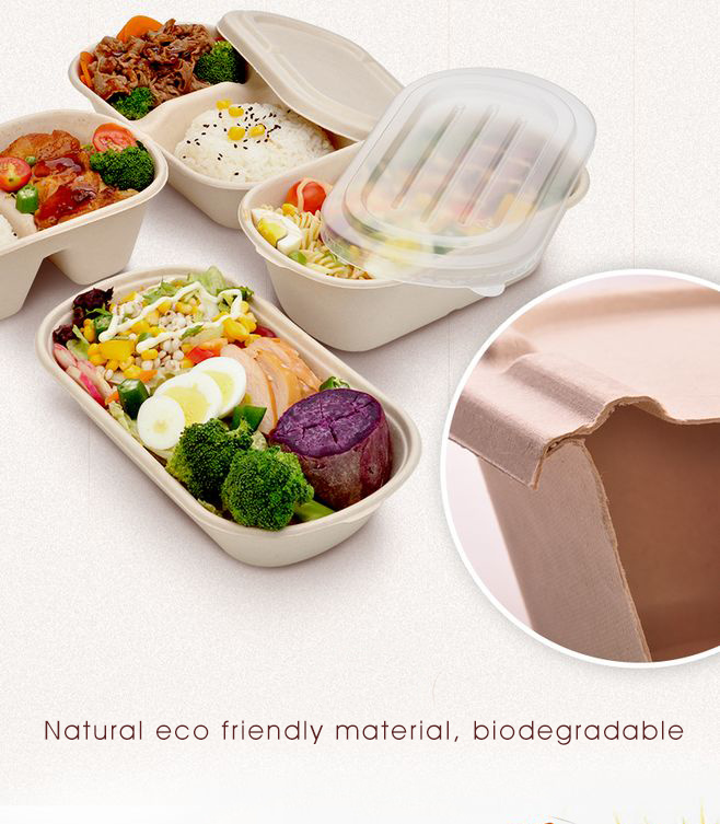 Compostable Durable Paper Box with Clamshell with Two/Three Compartments