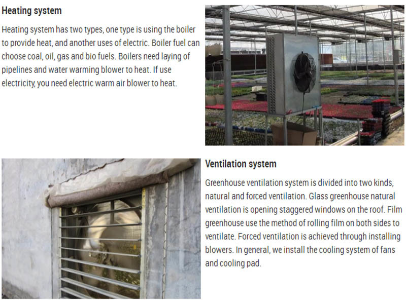 Plastic Film Sunlight Greenhouse for Agriculture Vegetable Growth