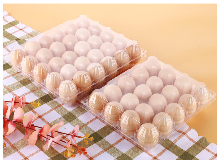 Blister PVC Plastic Disposable Eggs Packing Box Tray Container