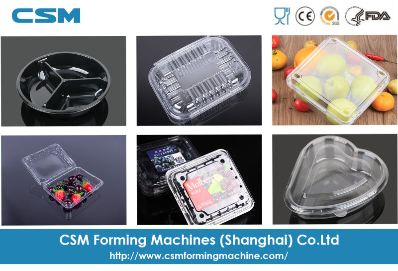 Hot Sale Automatic Plastic Cup Lid Catering Tray Thermoforming Machine