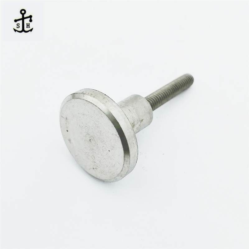 Large Flat Head Customized Stainless Steel Screw Set with Screw Made in China