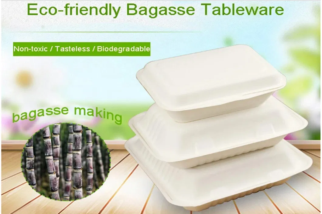 Eco-Friendly 1000ml Sugarcane Biodegradable Tableware Square Tray Paper Tray Kitchen Utensils