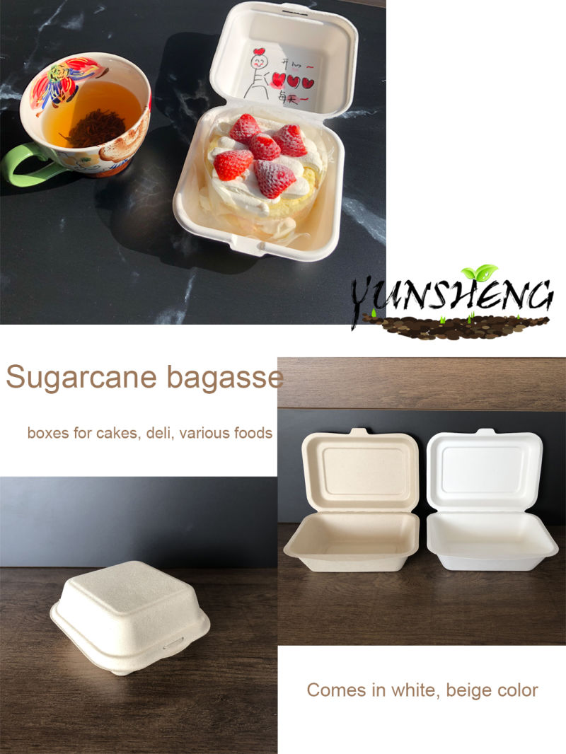 Compostable Paper Plates Biodegradable Disposable Eco Friendly Food Container