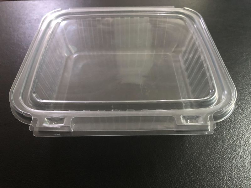 Clear Plastic Pet Blister Food Packaging Cookie Tray