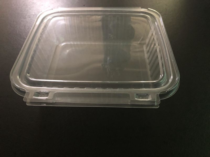 Clear Plastic Pet Blister Food Packaging Cookie Tray