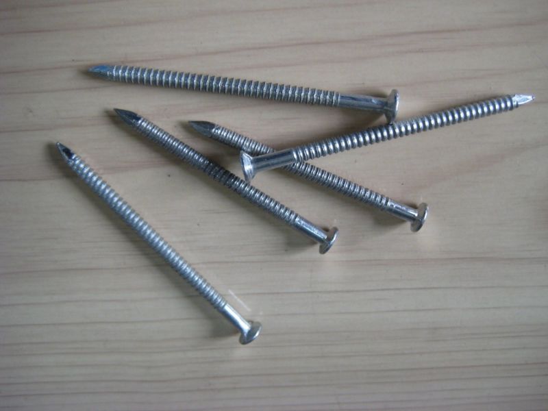 Great Quality Ring Shank Nail/Screw Nail Flat Head Electronic Galvanized