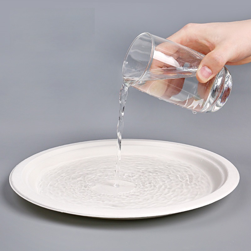 Biodegradable Compostable Eco-Friendly Disposable Bagasse Paper Plates