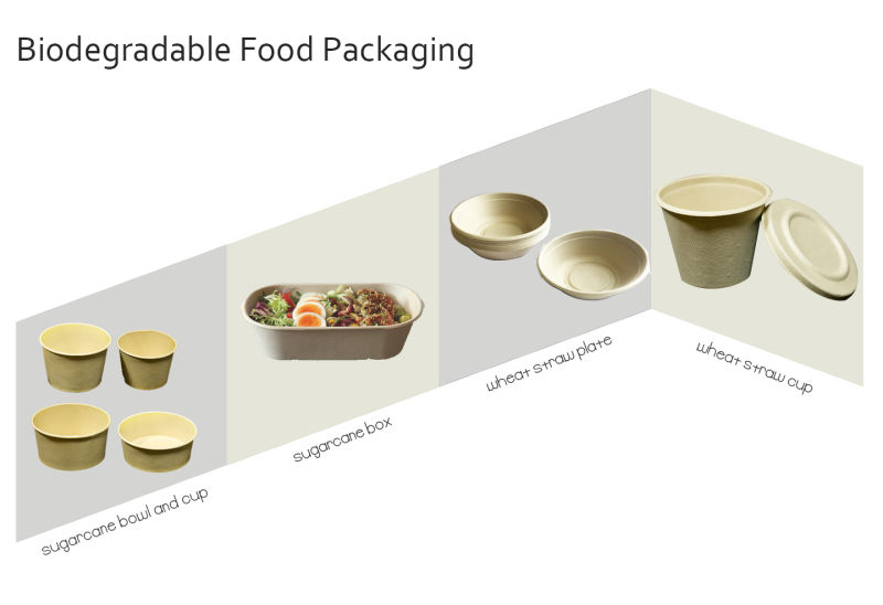 Compostable Paper Plates Biodegradable Disposable Eco Friendly Food Container