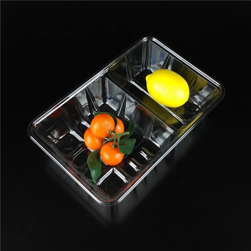 Two Compartment Disposable Plastic Tray