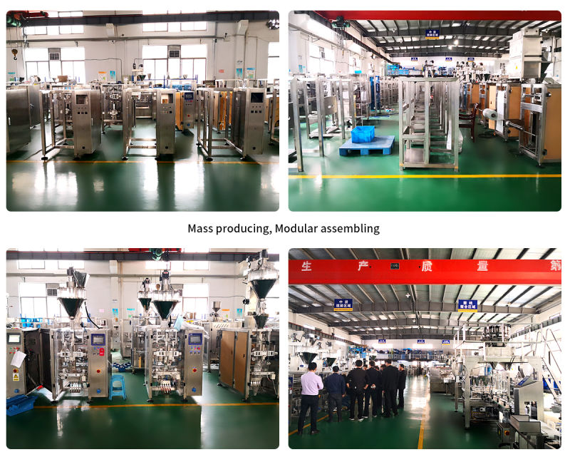 Fully Automatic Vertical Packing Machine for Candy Products Pouch Packing