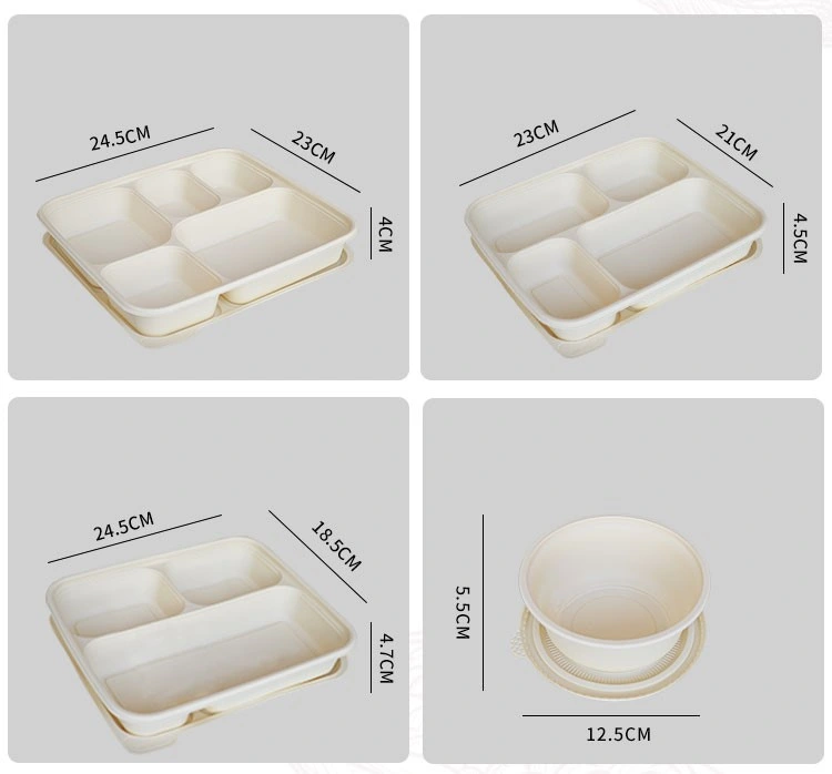 Biodegradable Meat Food Packaging Clamshell Sugarcane Pulp Bagasse 1 Compartment Tray for Food