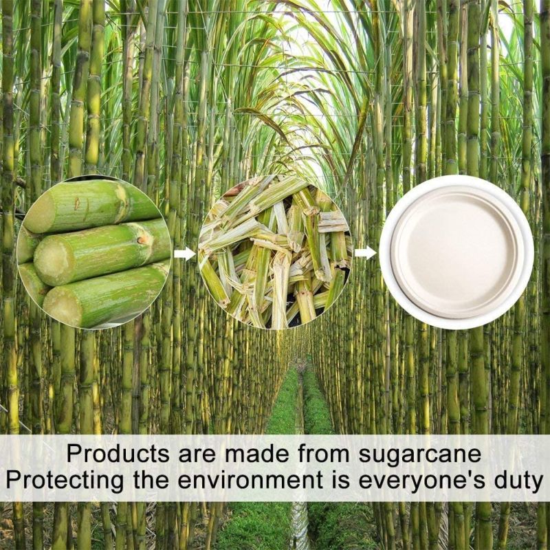 Biodegradable Compostable Eco-Friendly Disposable Bagasse Paper Plates