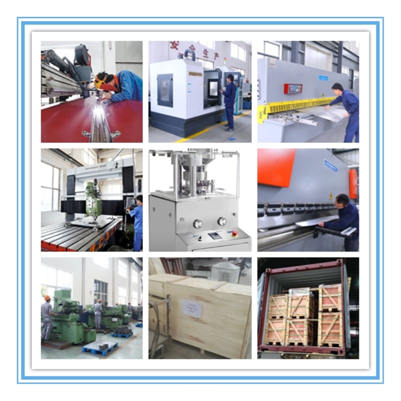 Zp-5 Pharmaceutical Machinery of Pill Press for Making Tablet