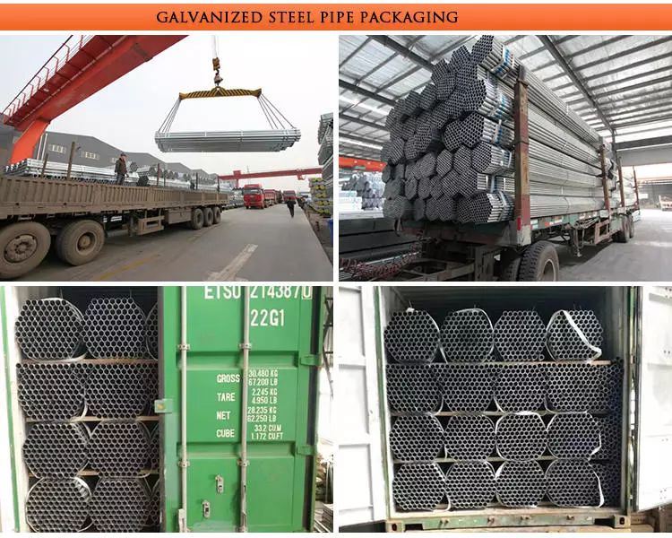 60X60 Square Tube Shs Hot Dipped Galvanized Square Steel Pipe