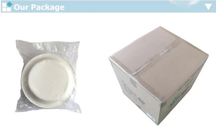 Disposable Bagasse Sugarcane Food Packaging Dishes 5-Compartment Salad Biodegradable Fruit Tray Disposable Meat Tray