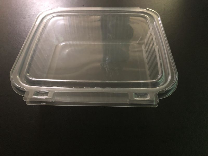 Rectangular Packing Blister Plastic Meat Fruit Packaging Tray