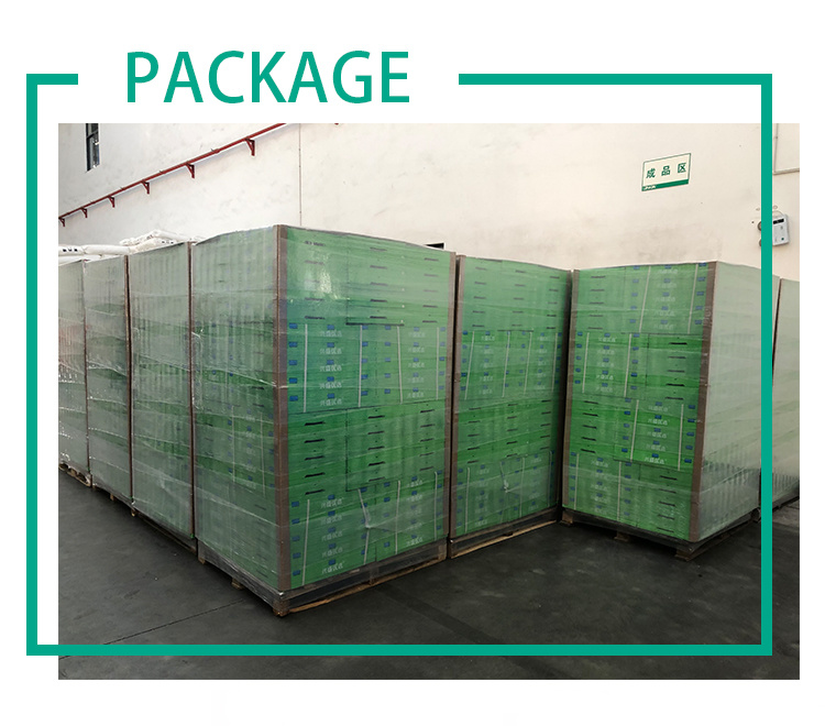 Plastic Garden Bed Planter Box Vegetable Flower Herbs Tray Logistics Gardening Fresh Flower Plastic Crate
