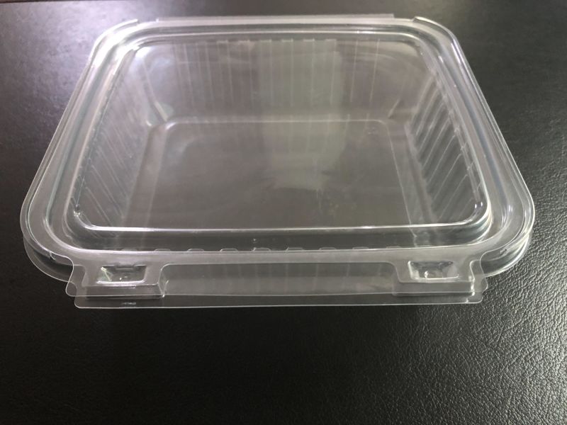 Plastic Food Trays for Restaurants, Cafeterias & Hospital