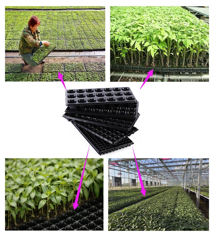Garden Nursery PS Plastic Seeding Tray/Customizable Balck PS Flower Pot for Garden Black HIPS Seed Tray