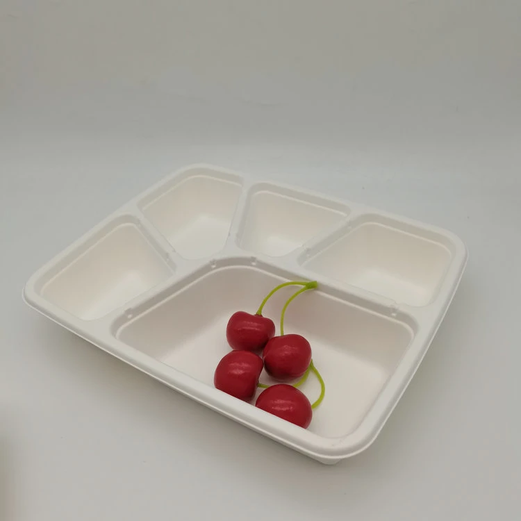 Disposable 5 Compartment Tray Bagasse Sugarcane Tableware Tray with Lid