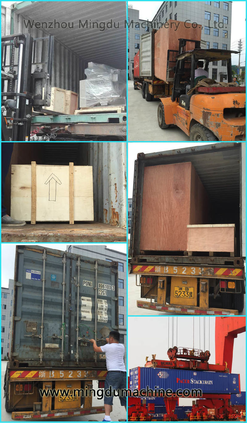 Plastic Thermoforming Machine for Tray Packing