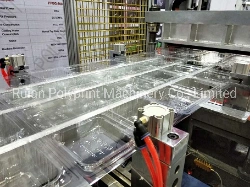 Hydraulic Plastic Pet/PVC/PS/PLA Thermoforming Machine Plastic Lid Fast Food Bowl Clamshell Tray Forming Machine