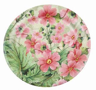 Disposable Colorful Paper Plates, Disposable Party Paper Plate, Eco-Friendly