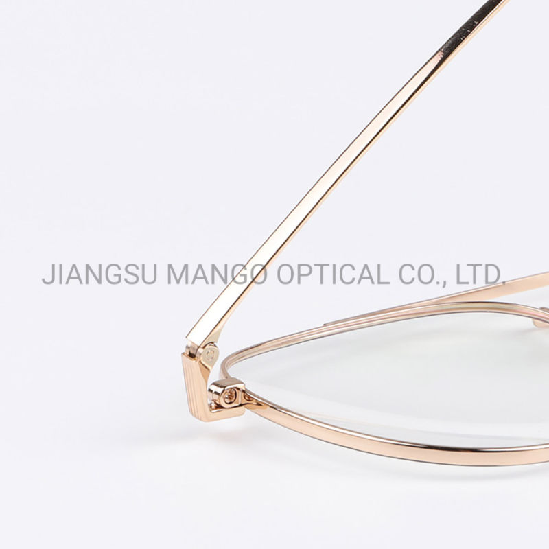 Double Bridge Eyewear Frame Cool Pilot Eyeglasses Spectacles Frames