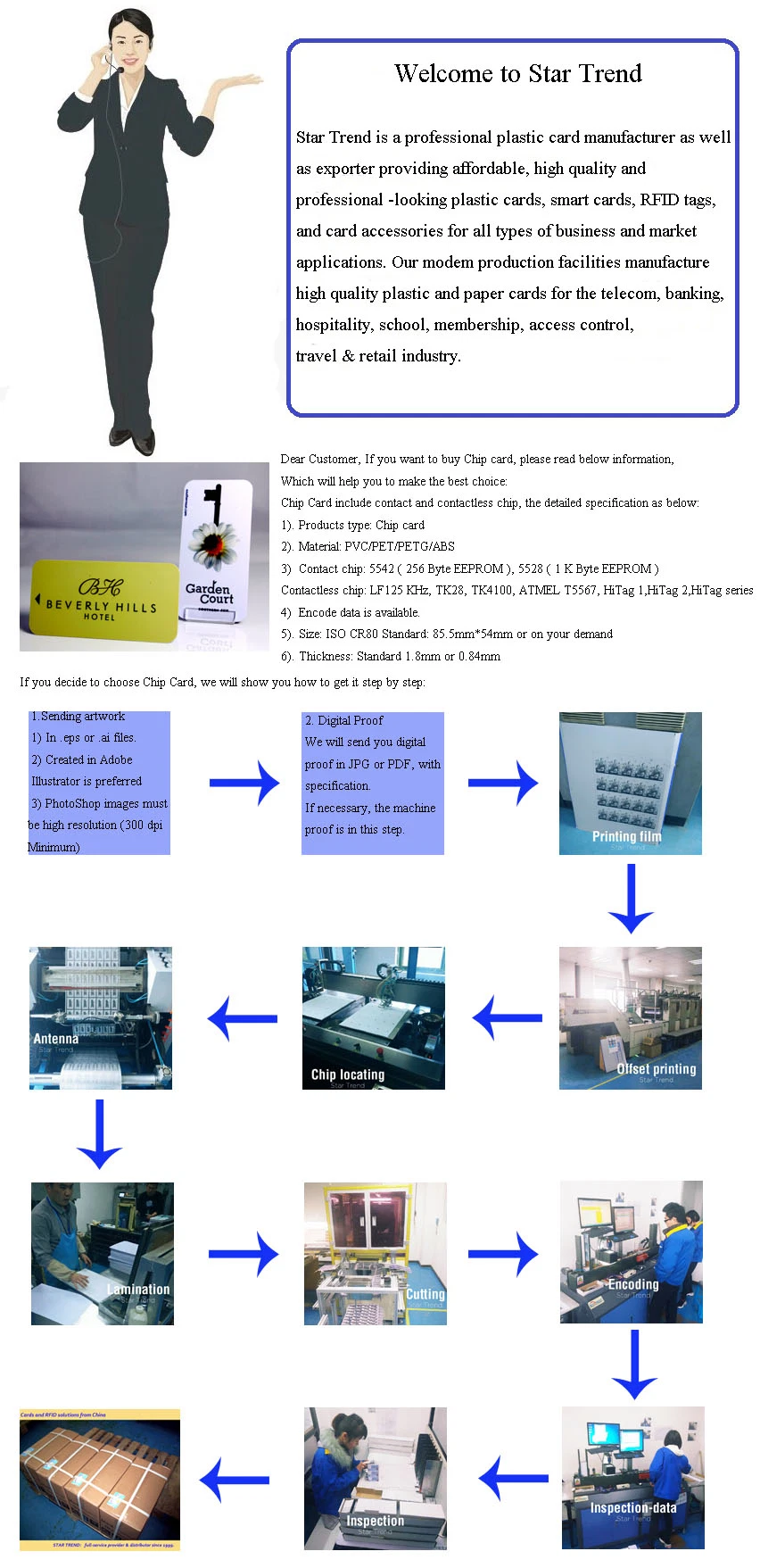 Customized Plastic Chip Card/Door Card/Access Card/RFID Card/Plastic Card/Smart Card Manufacturer