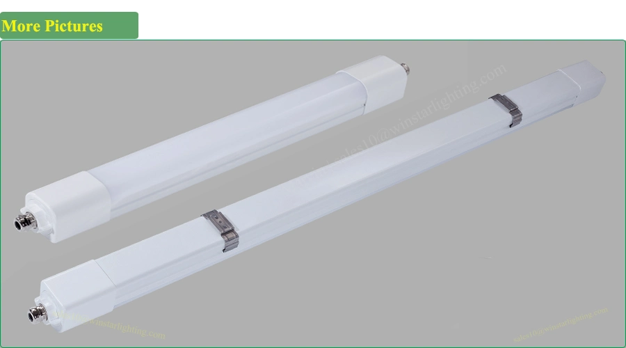 Distributor Supplier Factory Price IP65 LED Linear 20W/40W/60W LED Tri Proof Light with Sensor