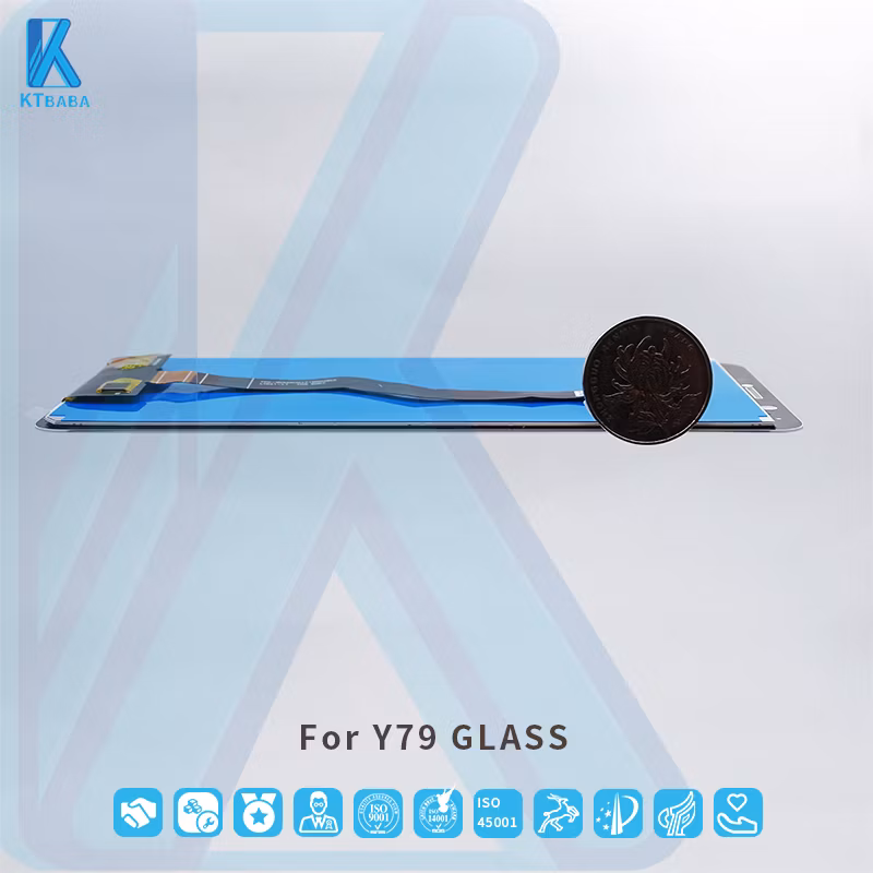 Mobile Phone LCD Replacement Mobile Screen LCD for Vivo Y79