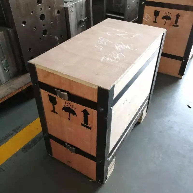 ABS Rubber Plastic Injection Mold Plastic Injection Mould