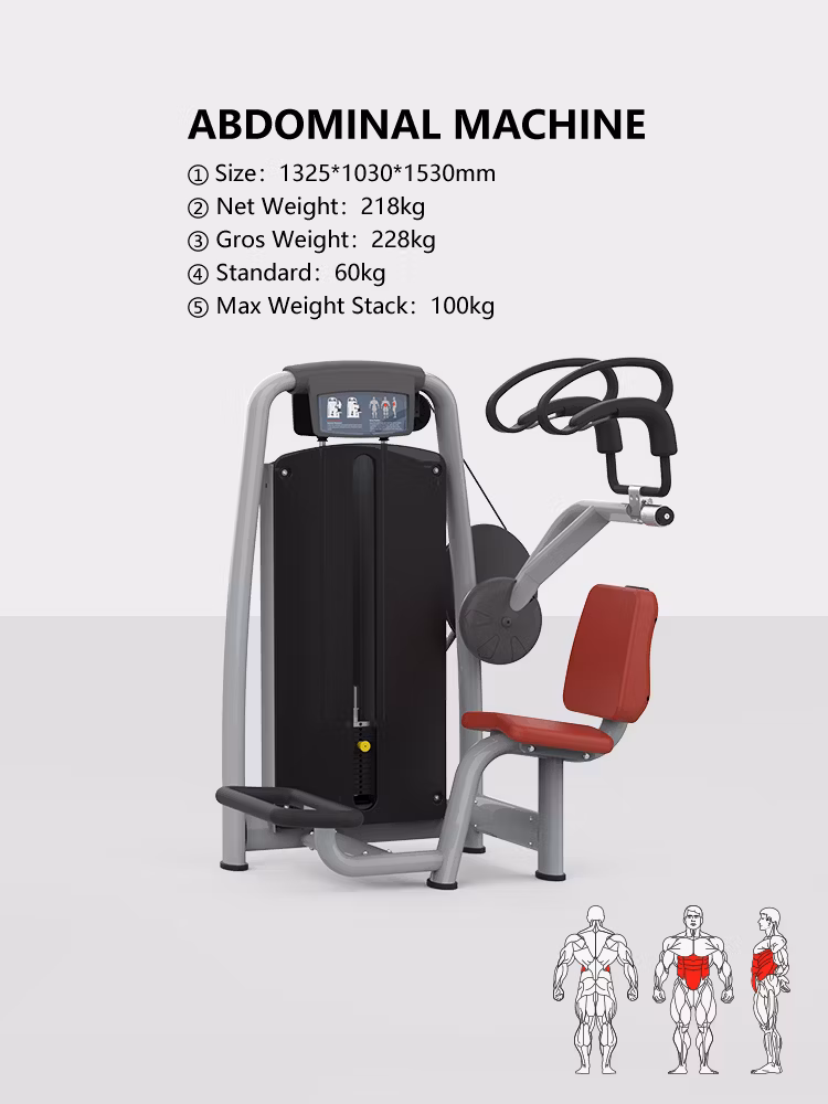 Commercial ABS Fitness Machine for Fitness Abdominal Exerciser/Abdominal Machine (BFT-2020)