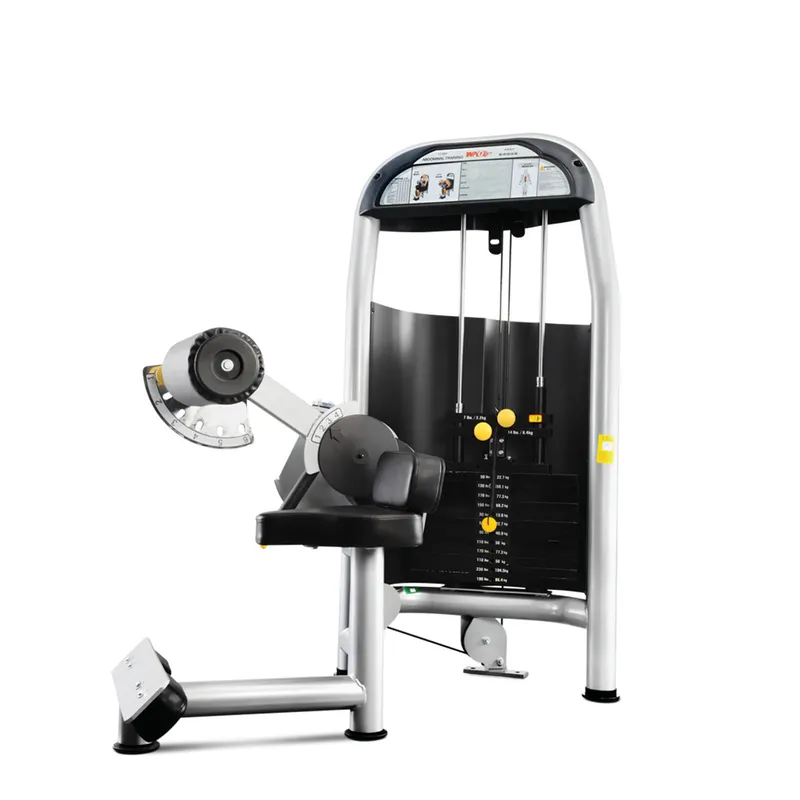 Commercial Abdominal Machine Gym Club Sports Fitness Exercise Strength Equipment