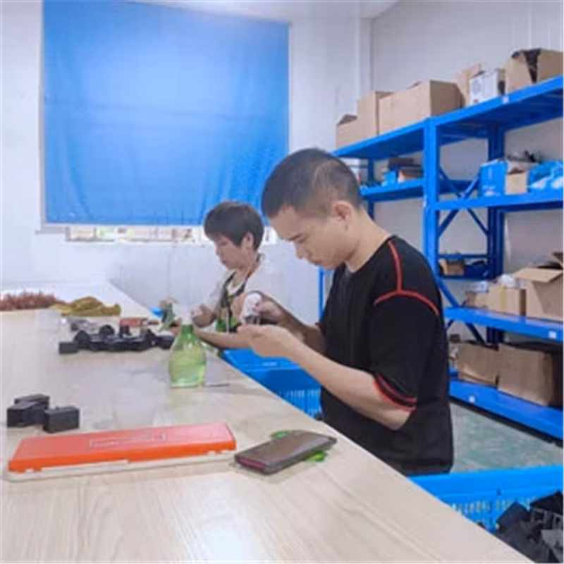 Plastic Mould Overmolding Mould Maker Lezheng Mould Manufacture