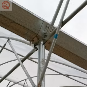 Easy/Quick Assembly Plastic Film Greenhouse Hydroponics for Agriculture Productive/Vertical Farming
