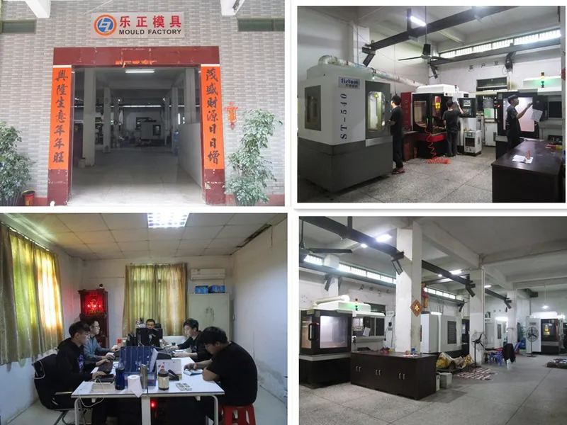 Plastic Mould Overmolding Mould Maker Lezheng Mould Manufacture