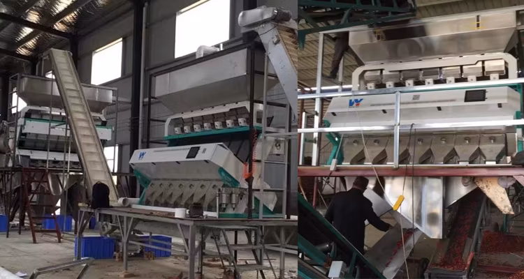 ABS Plastic Color Sorting Machine for Waste Plastic Recycling Line