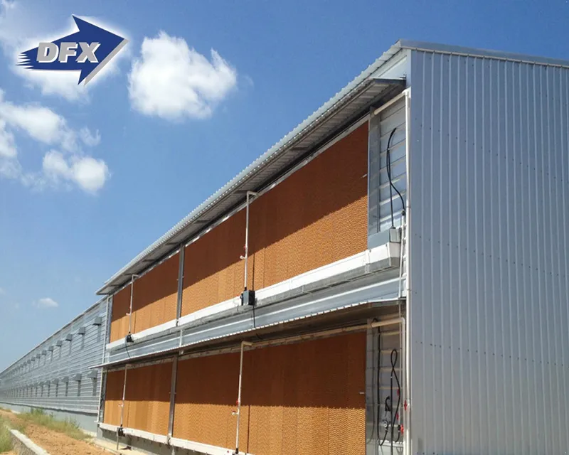 Insulated Steel Structure Chicken House with EPS Sandwich Panels