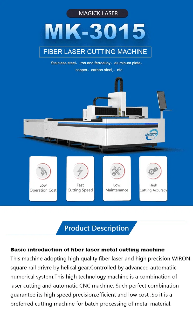 1000W Metal Sheet Fiber CNC Laser Cutting Machines