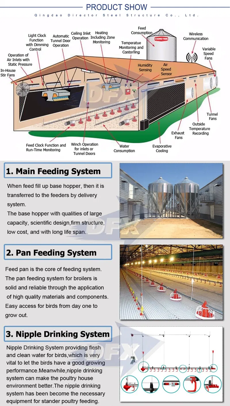 Insulated Steel Structure Chicken House with EPS Sandwich Panels