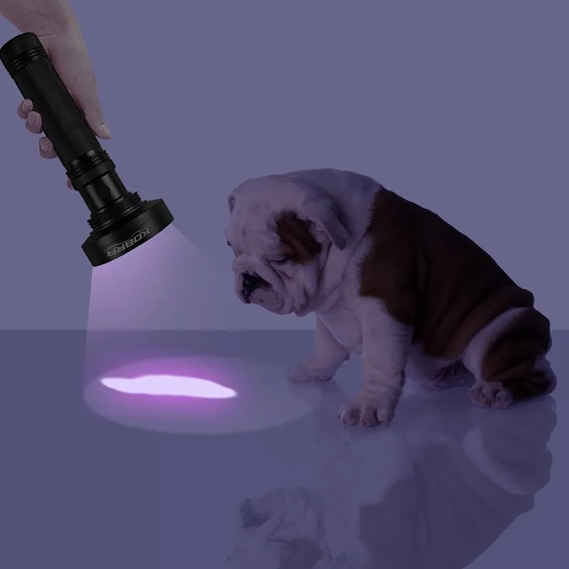 51 LED UV Flashlight Black Light for Scorpion, Pet Urine or Money Detector