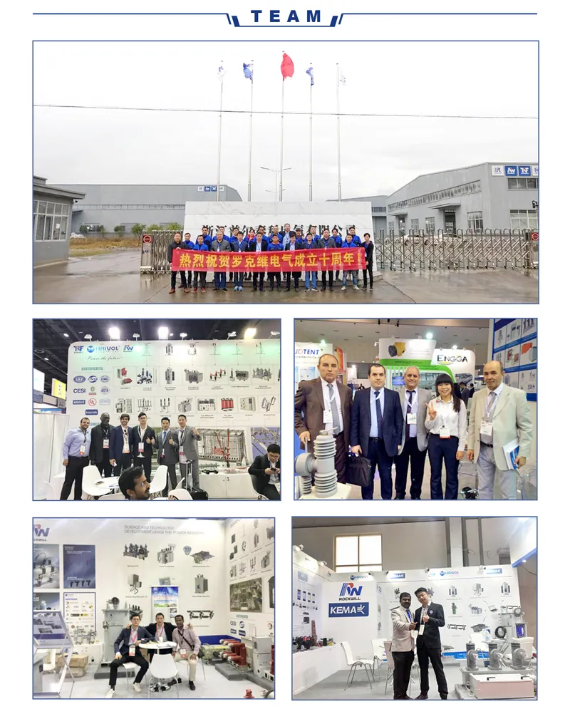 Metal-Enclosed No Sf6 Electrical Switchgear